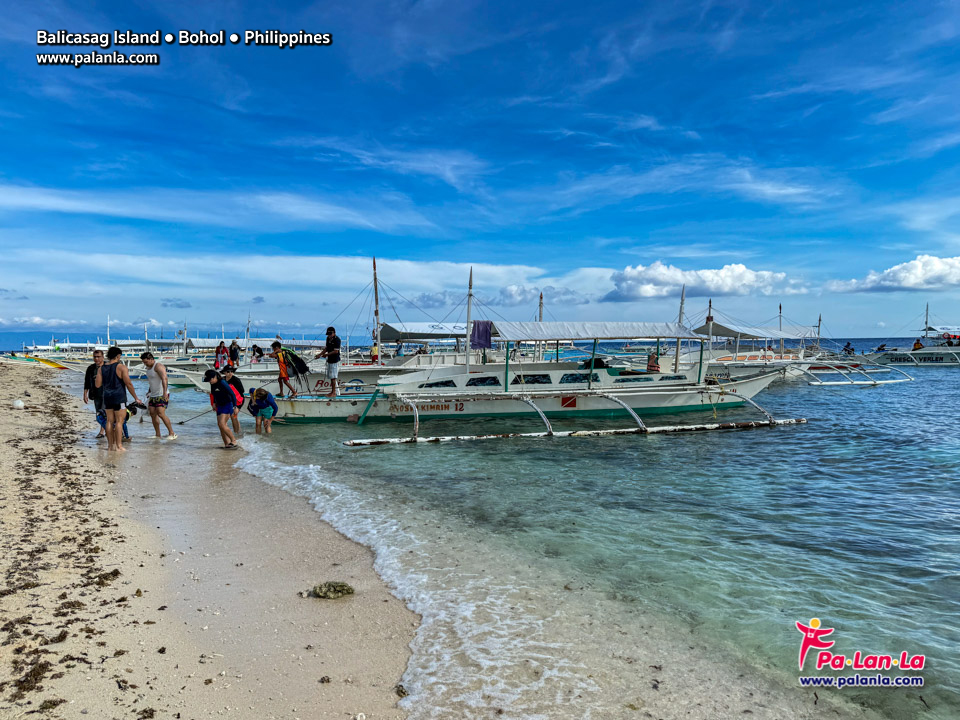 Balicasag Island